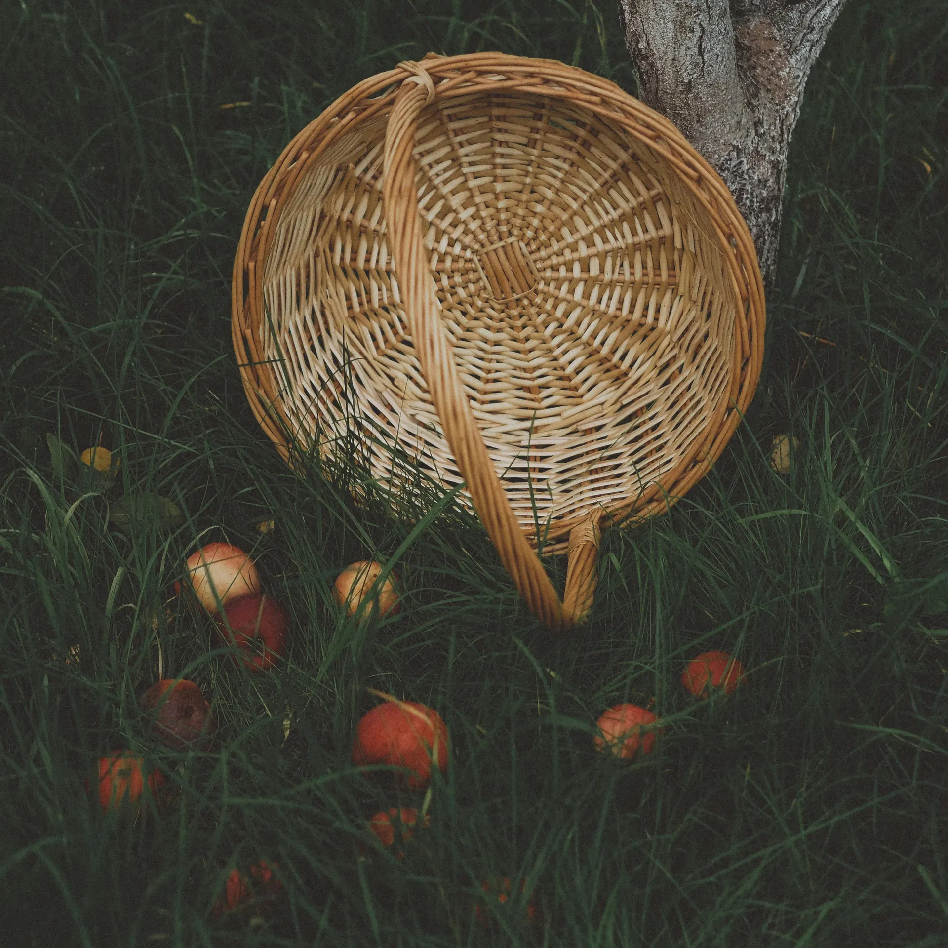 Illustration einer österreichischen Obstgartenroute mit Picknickdecke und sanften Hügeln